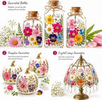 155 pcs Dried Flowers for Resin, Natural Flowers and Leaves Kit - Image 8