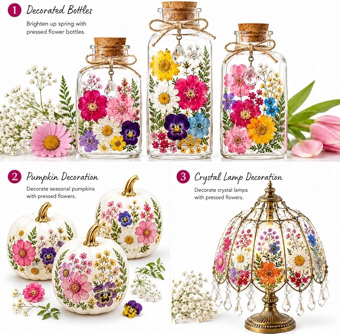155 pcs Dried Flowers for Resin, Natural Flowers and Leaves Kit - Image 8