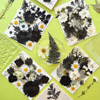 MIKIYA 90Pcs Black Pressed Dried Flowers - Image 3