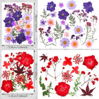 Nuanchu Dried Flower for Crafts Resin Pressed Flowers Bulk Real Dried - Image 3