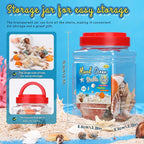 MORFEN Sea Shells, Mixed Ocean Seashells, 15 Kinds 1.2"-3.9" Various Sizes - Image 5