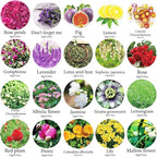 20 Bags Dried Flowers, 100% Natural Dried Flowers Herbs Kit - Image 2