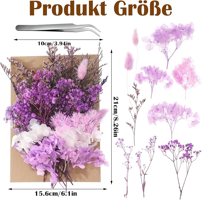 Real Dried Flowers, Natural Dry Flowers Mixed Natural Pressed Flowers Flores - Image 4