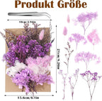 Real Dried Flowers, Natural Dry Flowers Mixed Natural Pressed Flowers Flores - Image 4