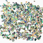 Abalone Shell Slices, Polished Abalone Slices by Unknown