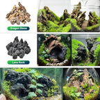 Natural Rocks Dragon Stone 1-2.5 Inches Decorative Stones - Image 3