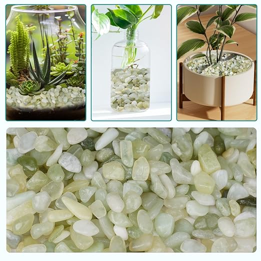 2.5 lbs Jade Pebbles for Indoor Plants, 1/5 Inch Succulent and Cactus Pebbles - Image 6