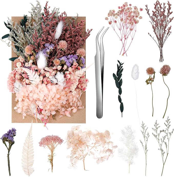 Real Dried Flowers, Natural Dry Flowers Mixed Natural Pressed Flowers Flores by auroray
