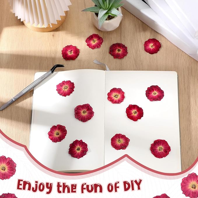 Woanger 100 pcs Dried Pressed Flowers Small Dry Flowers Real Natural Resin - Image 5