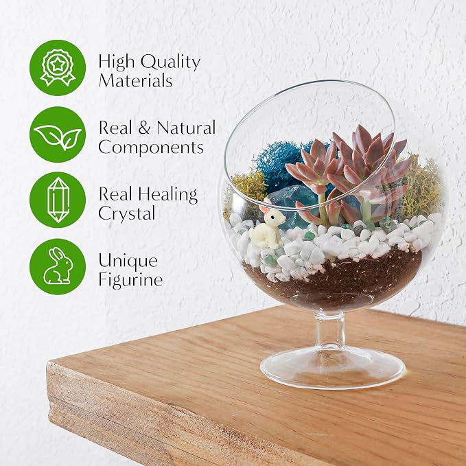 Creations by Nathalie DIY 6" Chalice Terrarium Kit Build Your Own Glass - Image 3