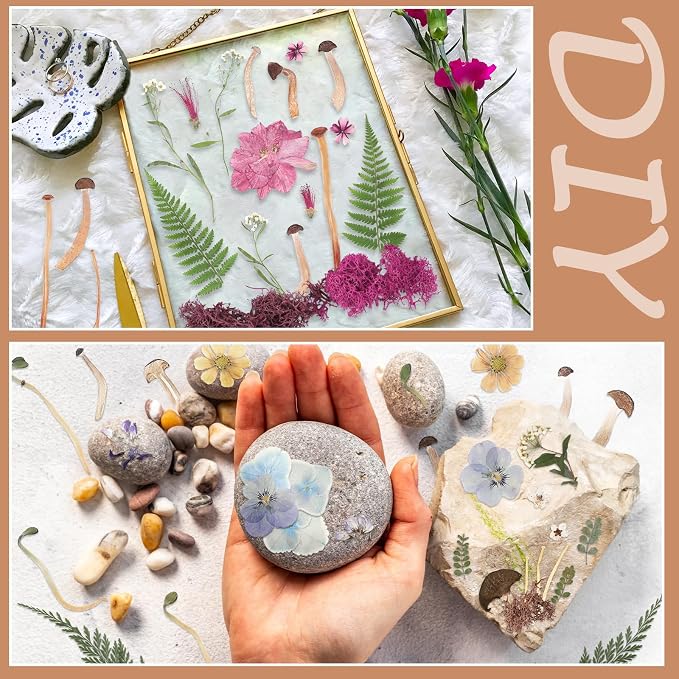 Nuanchu Dried Pressed Flowers for Resin Molds Dried Mushrooms Crafts Fake - Image 5