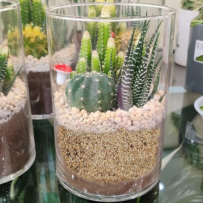 Natural Sand Coarse Silica Sand Vase Filler Unity Sand - Image 9