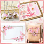 Fabbay 200 Pcs Dried Pressed Flowers Real Dry Natural Flower Leaf Dried Flowers - Image 7