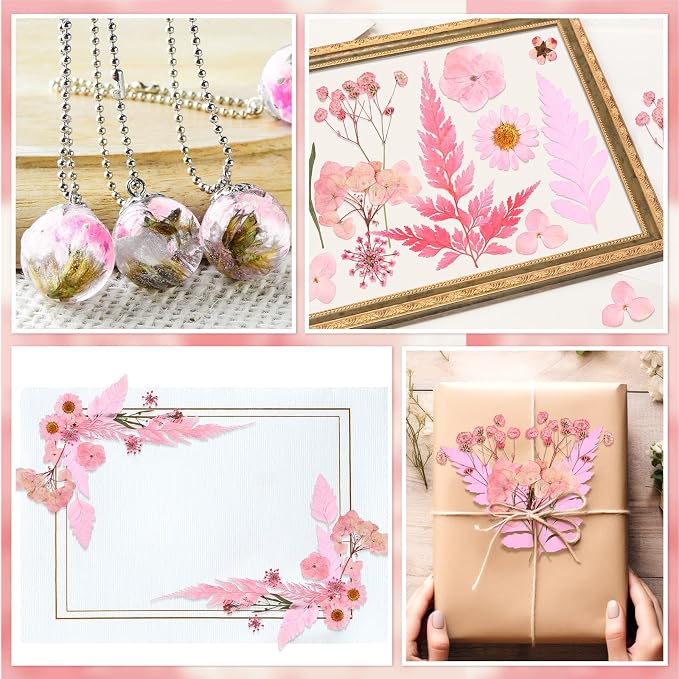 Fabbay 200 Pcs Dried Pressed Flowers Real Dry Natural Flower Leaf Dried Flowers - Image 7