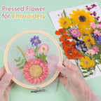 12“ Large Bulk Summer Dried Pressed Flowers - Image 5