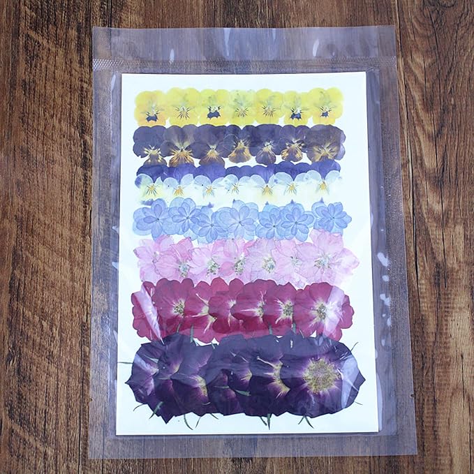 49 Pcs Dried Pressed Flowers for Crafts Art Resin DIY Natural Dry Pansy Rose - Image 5