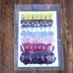 49 Pcs Dried Pressed Flowers for Crafts Art Resin DIY Natural Dry Pansy Rose - Image 5