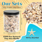 1200 Pieces Tiny Sea Shells Small Natural Starfish Mixed Ocean Beach Spiral - Image 2