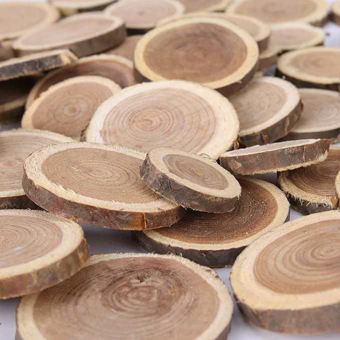 Natural Wood Slices for Crafts, 1.2"-2.5" Mini Assorted Unfinished Wood Tree - Image 2