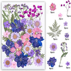 35Pcs Dried Pressed Flowers for Resin DIY Art Crafts Natural Dry Floral Daisy - Image 2