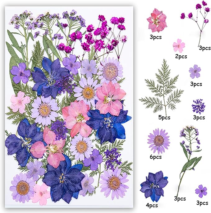35Pcs Dried Pressed Flowers for Resin DIY Art Crafts Natural Dry Floral Daisy - Image 2
