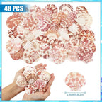 48 PCS Scallop Shells Natural Seashell, Fish Tank and Vase Filler - Image 2