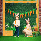 69Ft Easter Carrot Border Trim Carrot Scalloped Rolled Border Trim, Plaid - Image 4