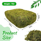 Riare 7OZ Natural Moss Artificial Fake Moss Alternative - Image 2