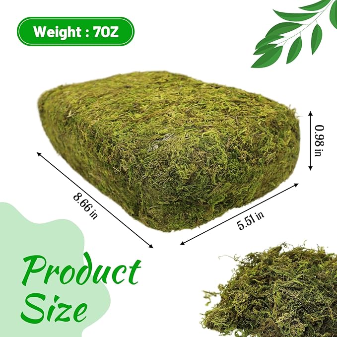 Riare 7OZ Natural Moss Artificial Fake Moss Alternative - Image 2