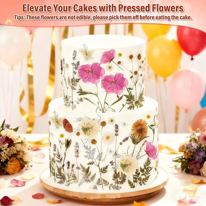 Dried Pressed Flowers for Resin, Real Pressed Flowers Dry Leaves Bulk Natural - Image 2