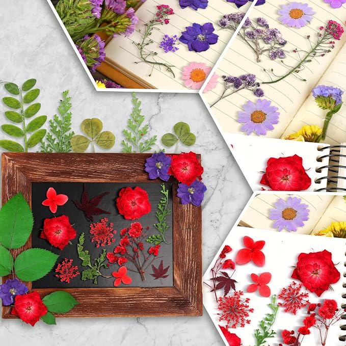 Nuanchu Dried Flower for Crafts Resin Pressed Flowers Bulk Real Dried - Image 5