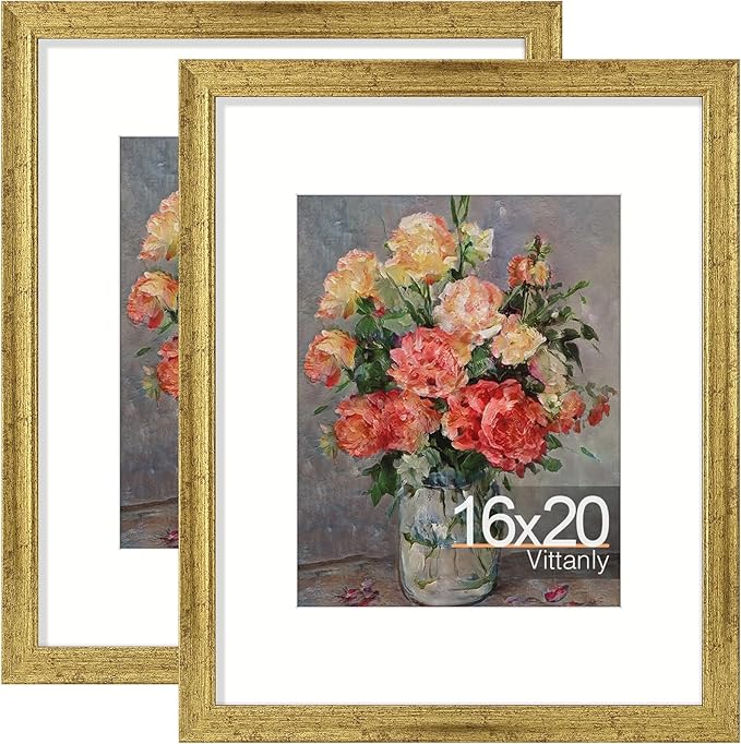 Vittanly 16x20 Poster Frames Set of 2, Ornate Vintage Photo Frame by Vittanly