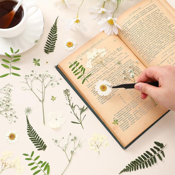 Fabbay 200 Pcs Dried Pressed Flowers Real Dry Natural Flower Leaf Dried Flowers - Image 2
