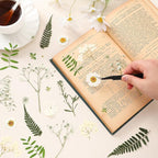 Fabbay 200 Pcs Dried Pressed Flowers Real Dry Natural Flower Leaf Dried Flowers - Image 2