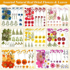 Dried Flowers for Crafts, Card Making, Nail Art, Scrapbooking - Image 3