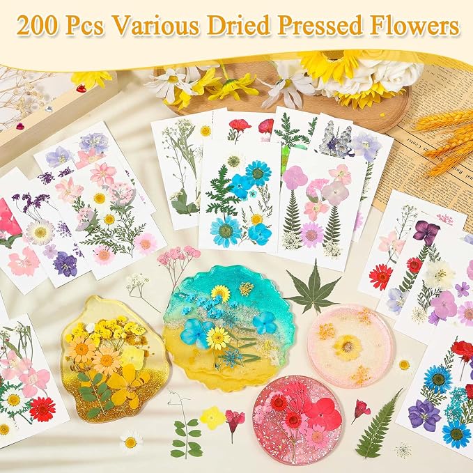 200 Pcs Dried Pressed Flowers for Crafts, 20 Sheets Real Dry Florals and Leaves - Image 2