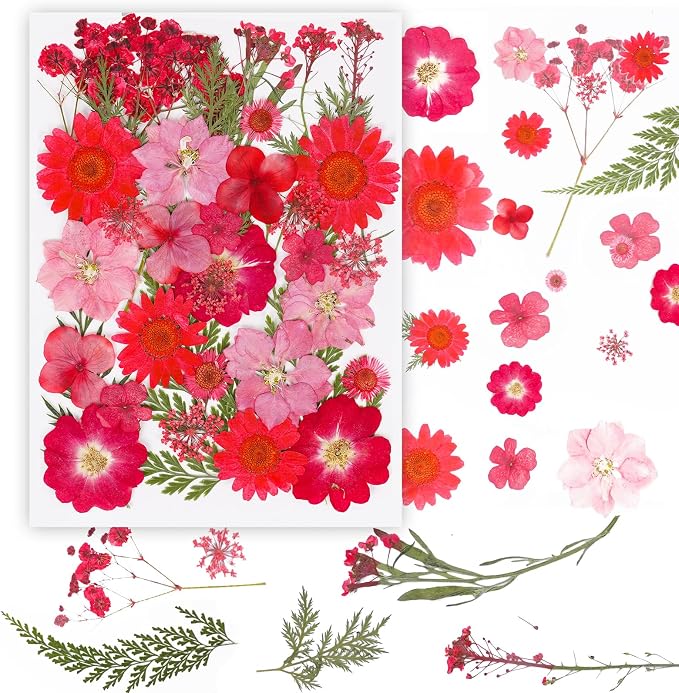 37Pcs Red Dried Pressed Flowers Natural Dried Flowers - Image 3