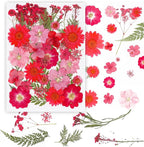 37Pcs Red Dried Pressed Flowers Natural Dried Flowers - Image 3