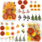 LUXEEASE 80P Autumn Tone Dried Pressed Flowers | Maple ginkgo plus blooms - Image 2