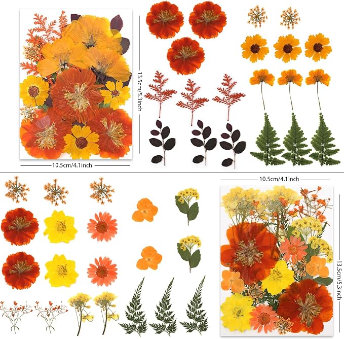 LUXEEASE 80P Autumn Tone Dried Pressed Flowers | Maple ginkgo plus blooms - Image 2