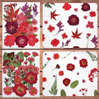 Dried Flowers for Resin | Vacuum Packed DIY Pressed Flowers for Epoxy, Nail - Image 5