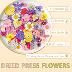 Dried Pressed Flowers Real Pressed Flowers Natural Dry Leaves Bulk Mixed - Image 5