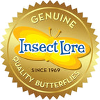 Insect Lore Raise and Release Butterfly Garden Kit – Caterpillar Habitat - Image 11
