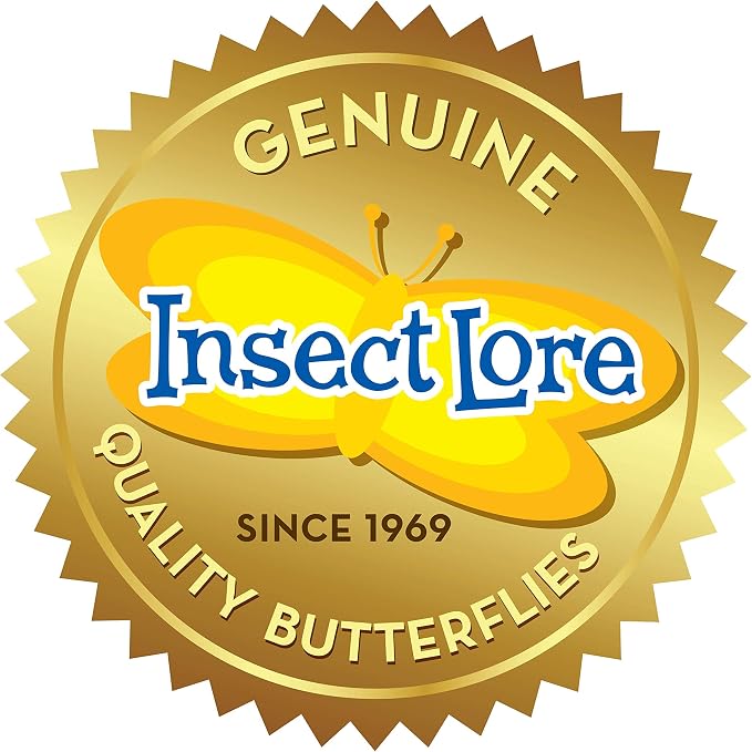 Insect Lore Raise and Release Butterfly Garden Kit – Caterpillar Habitat - Image 13