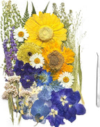 A4 Large Dried Pressed Flowers for Resin Real Dry Natural Flowers Leaves for by ZQmino