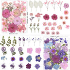 LUXEEASE 100P Pink Purple Blue Dried Pressed Flowers | Soft romantic shades - Image 2