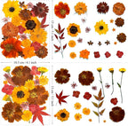 130Pcs Orange Fall Pressed Dried Flowers and Butterfly - Image 6