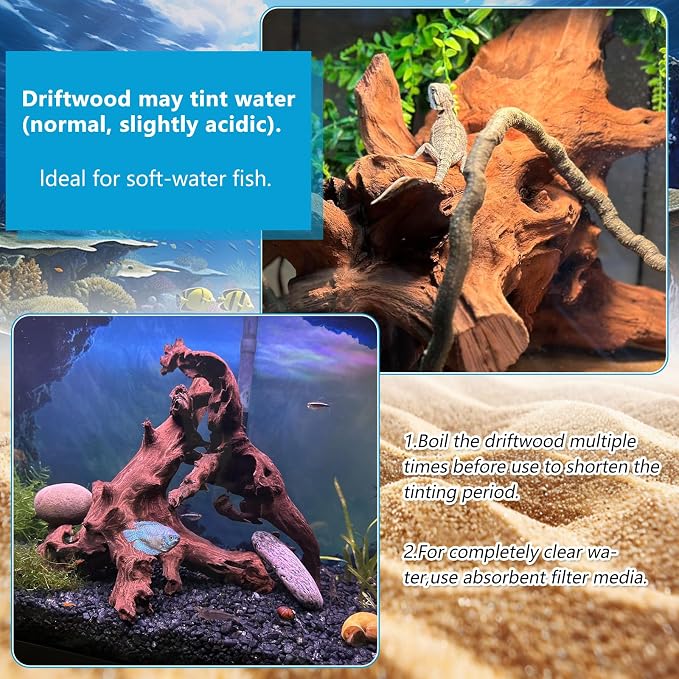 2 Pcs Natural Large Driftwood for Aquarium, Aquarium Driftwood Freshwater 12-16 - Image 3