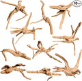 majoywoo Natural Small Driftwood by Majoywoo