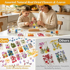 Dried Flowers for Crafts, Card Making, Nail Art, Scrapbooking - Image 5